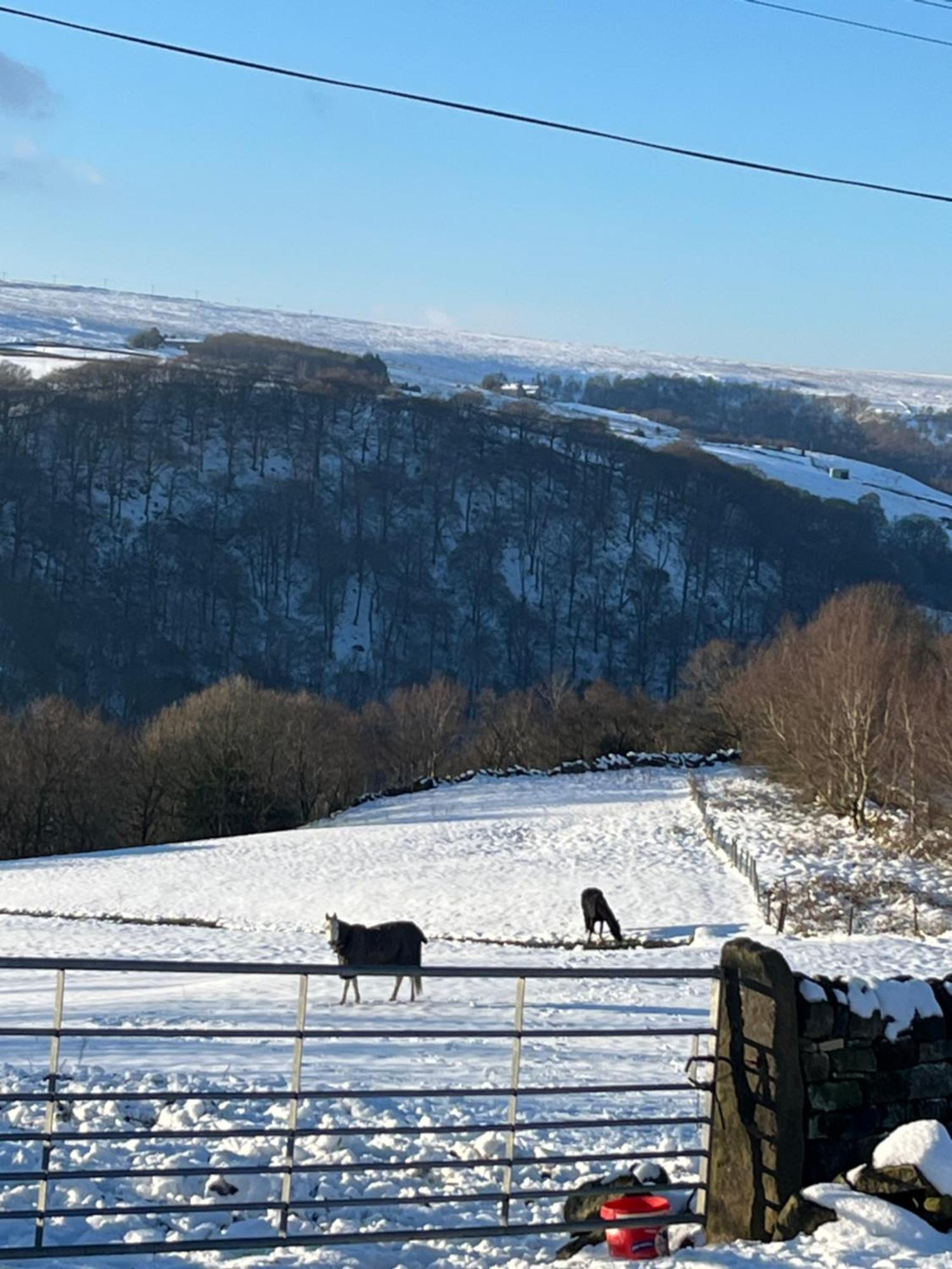 Weather Hill Cottage, Hebden Bridge Exteriör bild